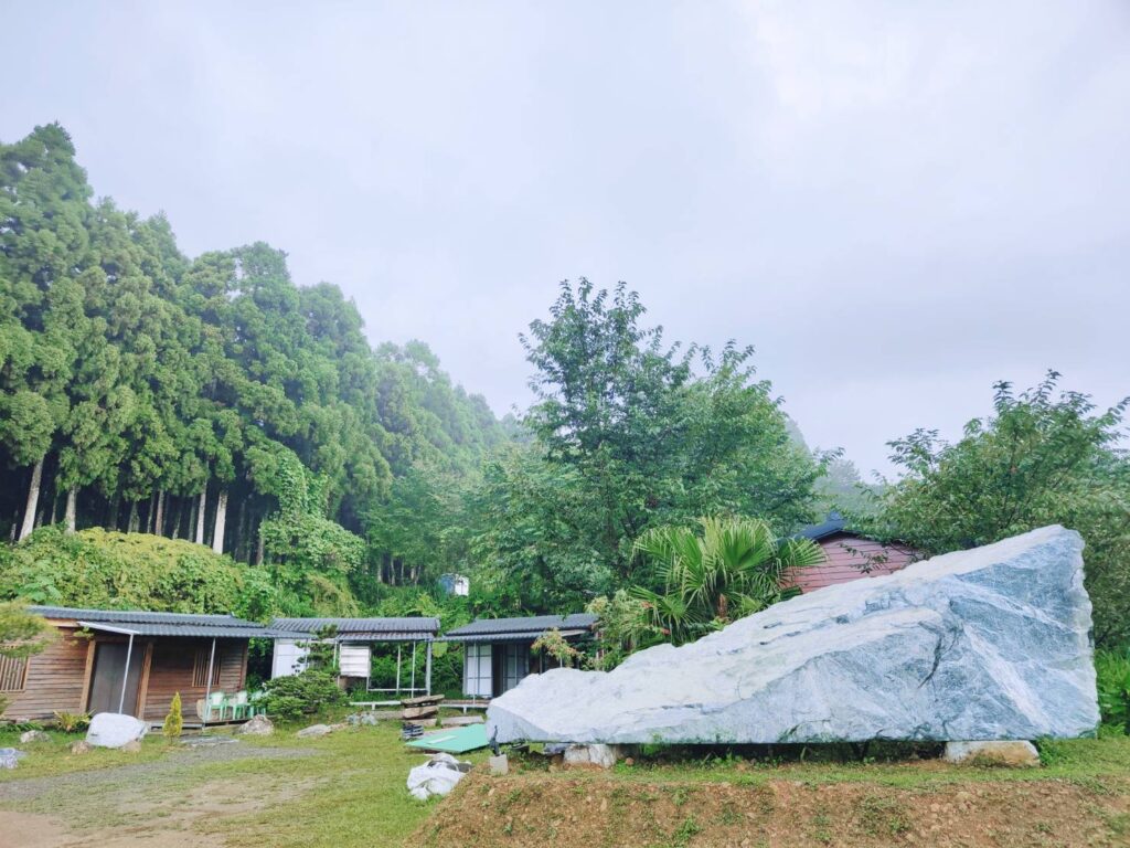 五峰鄉雲頂杉林露營區